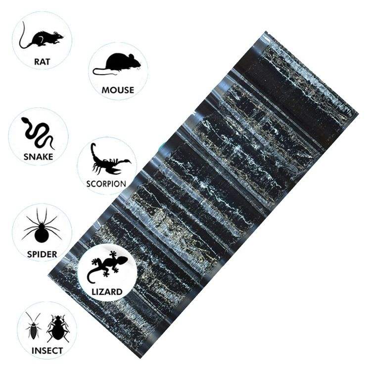 Tapis piège à souris collante : 1m20 sur 28Cm ( 6 Pièces )